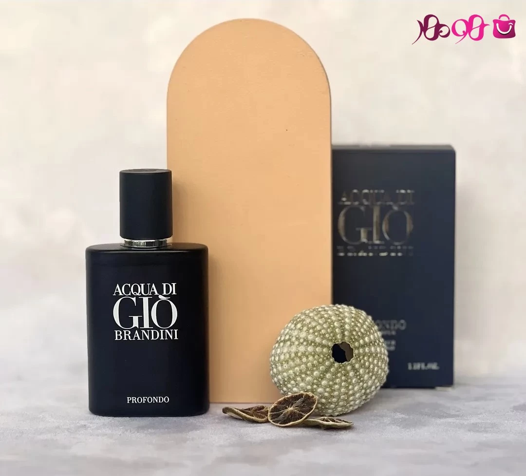 نمایندگی برندینی