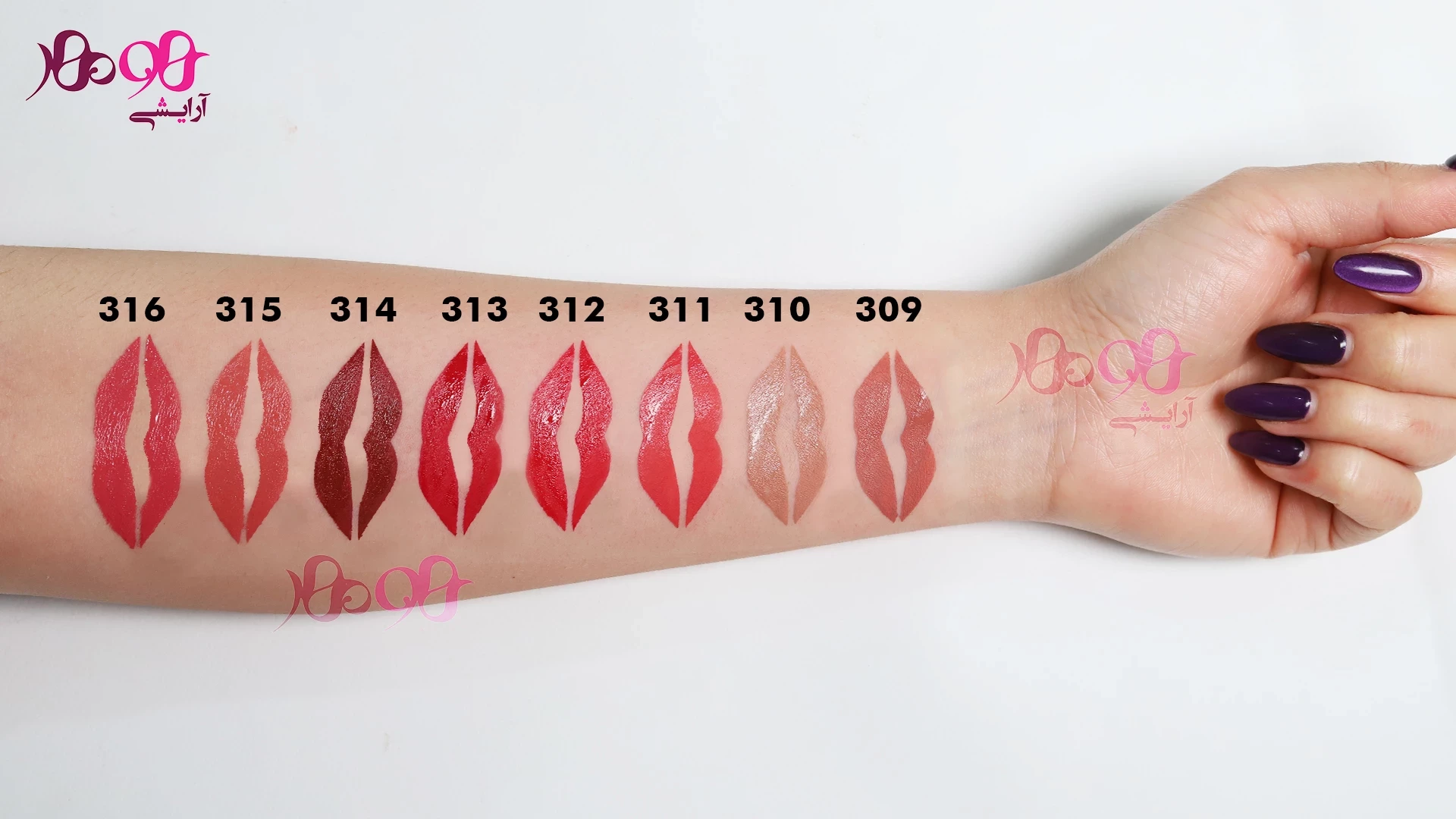 salute-323 salute-323